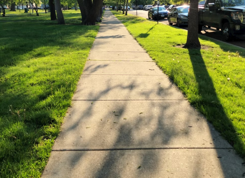 Level concrete sidewalk through a tree-lined neighborhood